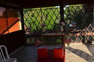 Plantas: imagem 5 de 15